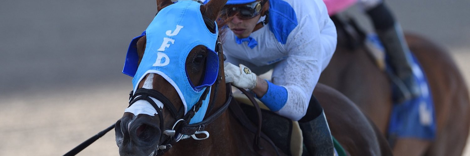 Jose F D'Angelo banner