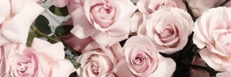 _EllieBee's profile banner image