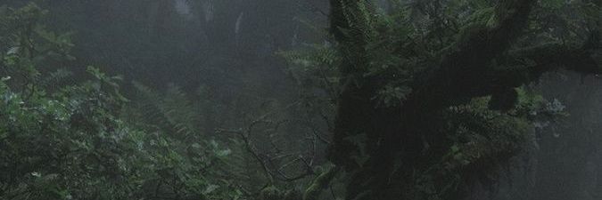 heytel banner