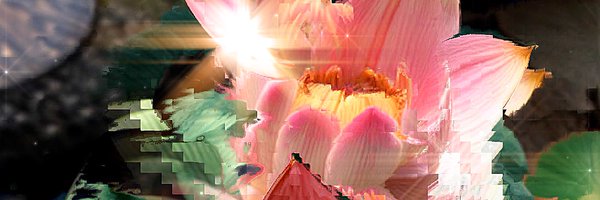 Sko_hr Profile Banner