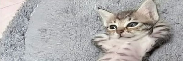 Elcorder0n Profile Banner