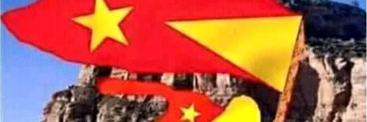 son_tigray's profile banner image