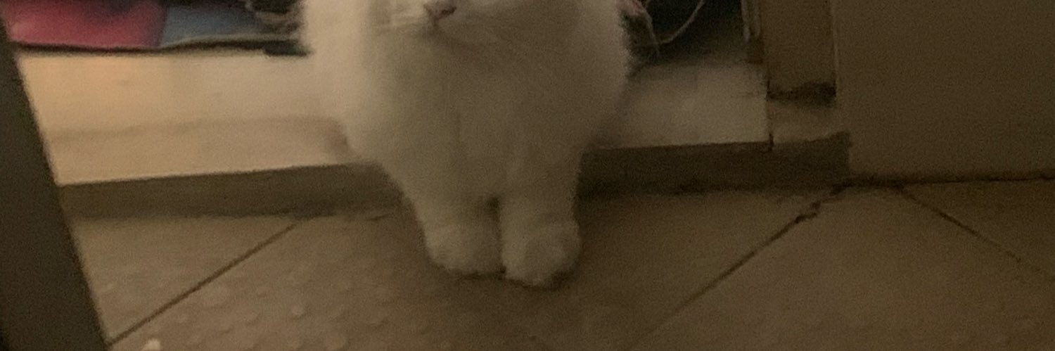 melepas kampus biru jeng banner