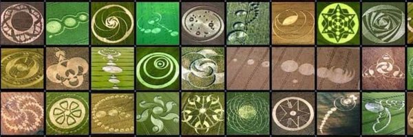 APsychedelics Profile Banner