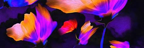 HappyHillespie 🇮🇪🇺🇦🇮🇱🇪🇺 banner