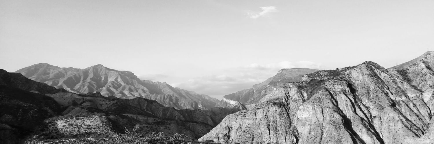 escaravax's profile banner image