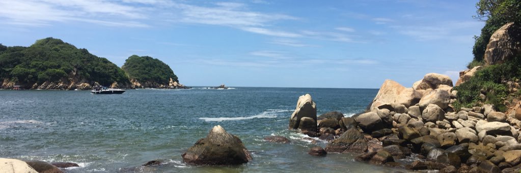 María Alejandra banner