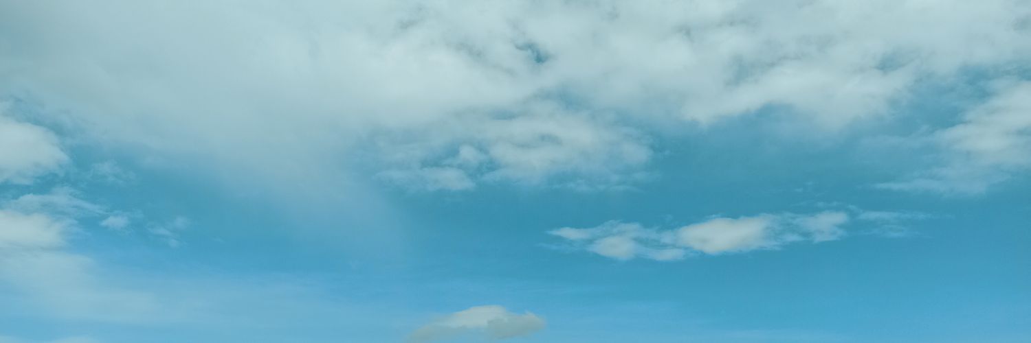 🎭Viira banner