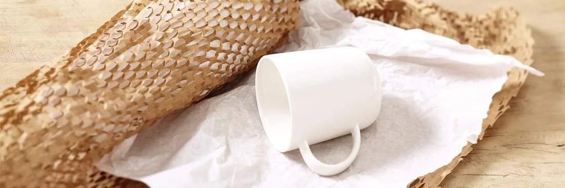The Ecosattva Store banner