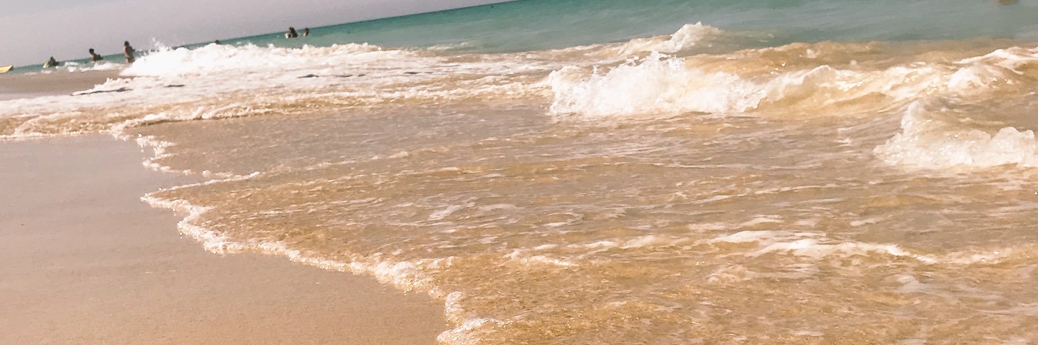 41_marebear_'s profile banner image