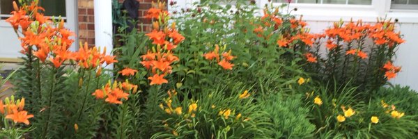 meixellp Profile Banner