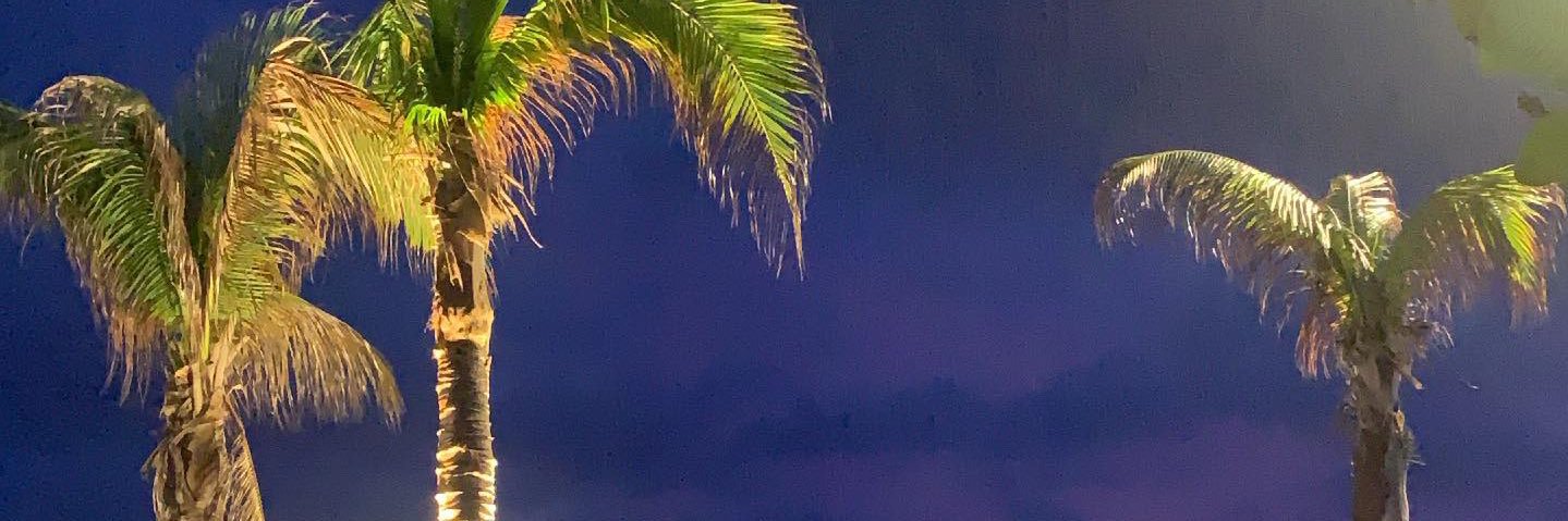 Anaaruiz17's profile banner image