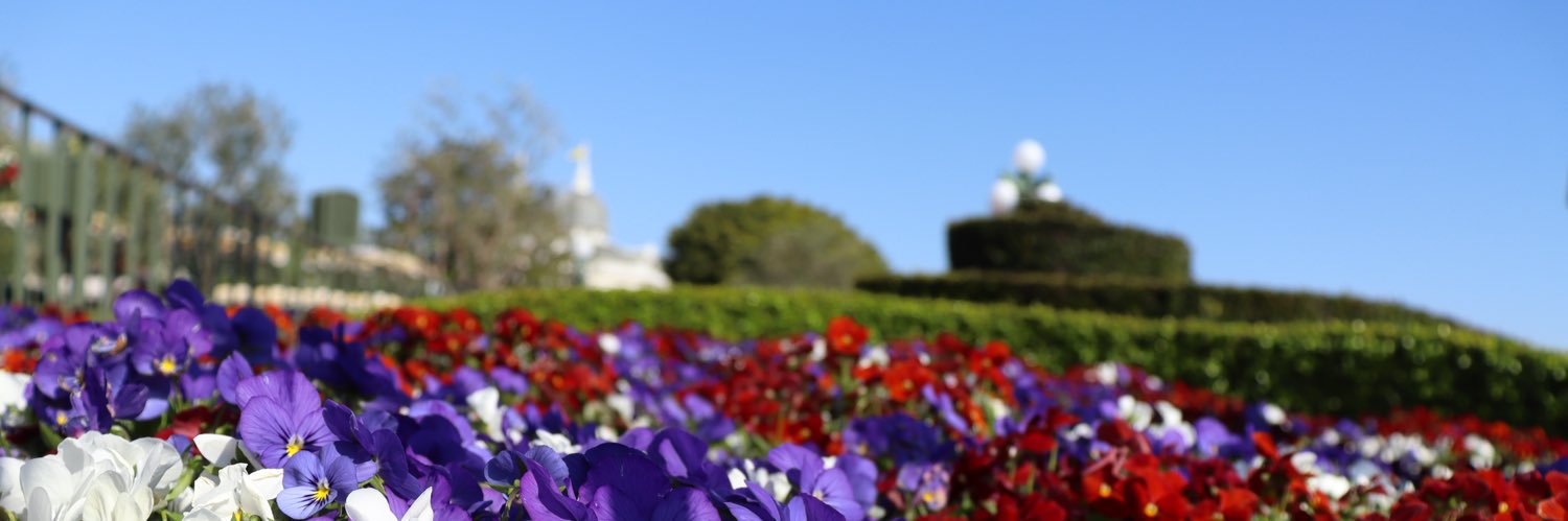kaijo7's profile banner image