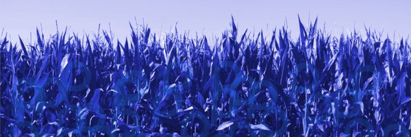 BullBaconTech Profile Banner