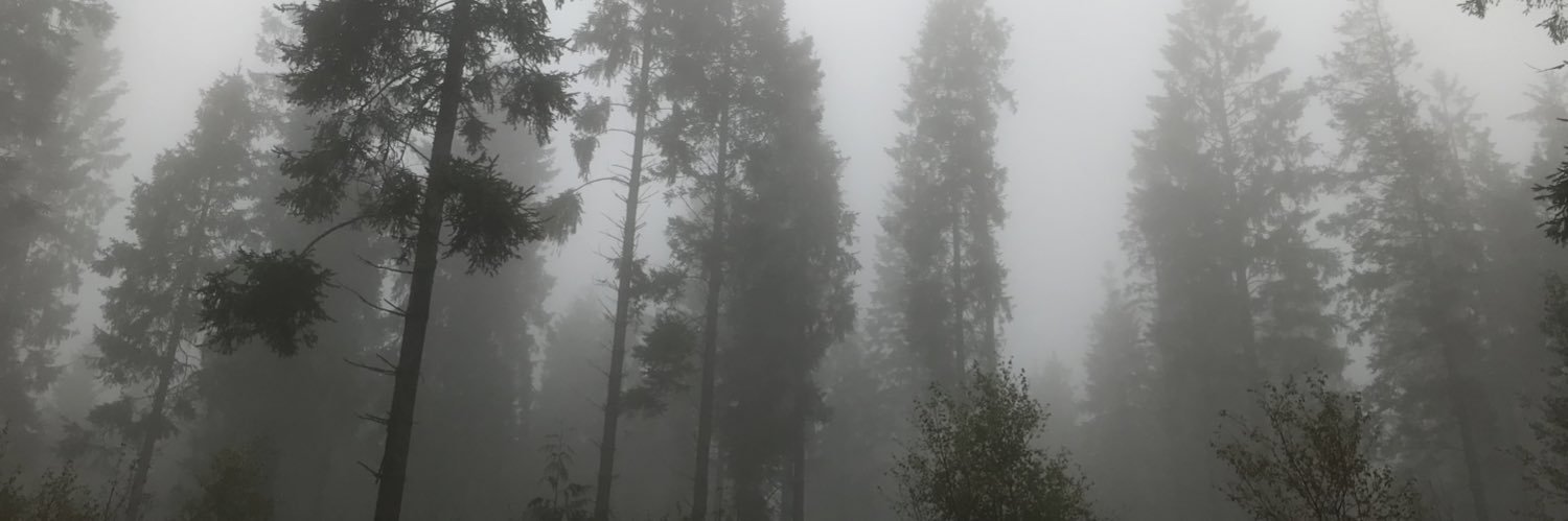 fat girl walking banner