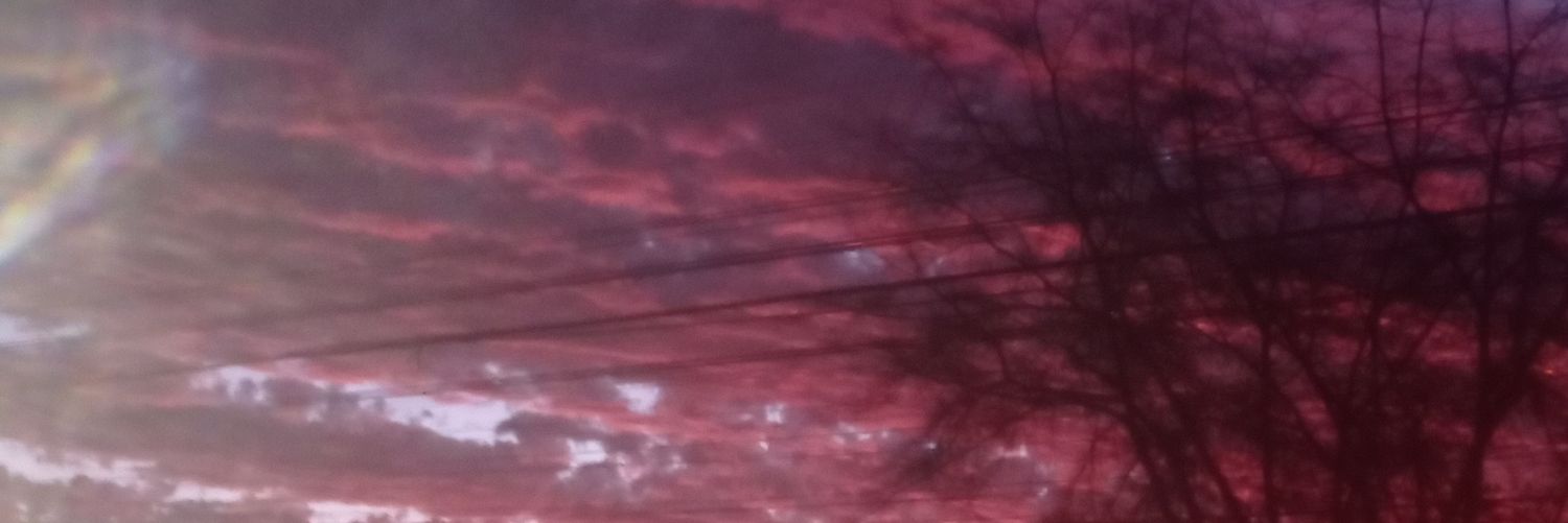 André Correa banner