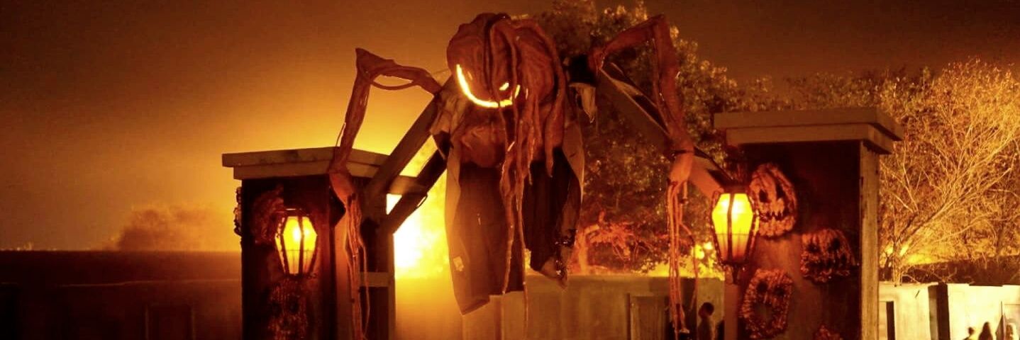 Skeleton Man 💀 banner