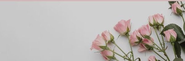 SapphireHowel0 Profile Banner