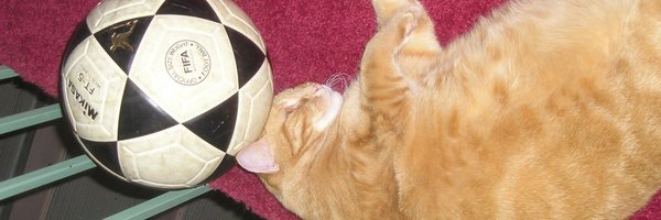 holiday440 Profile Banner