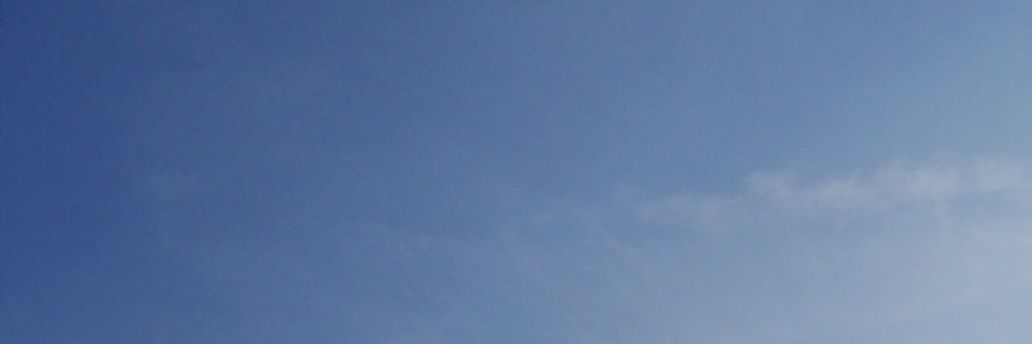 SmithLottie's profile banner image