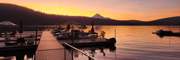 Calicomoon6 Profile Banner