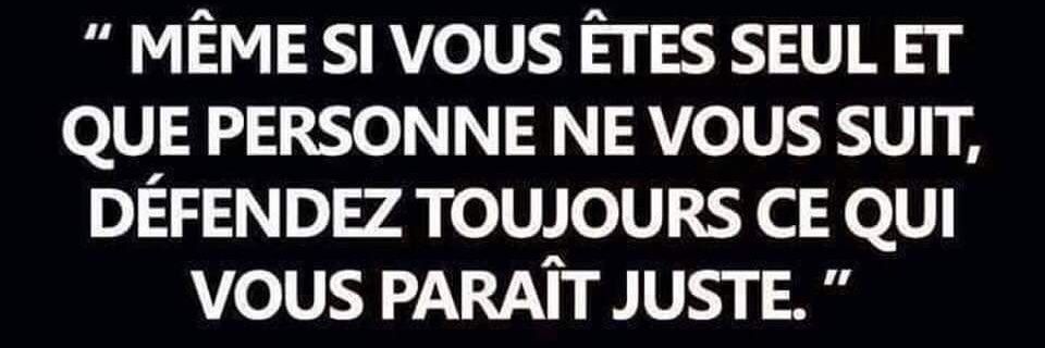 Ted Bartouche Selbonne TBS77 banner