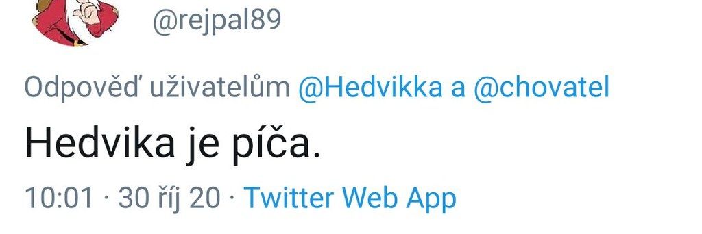 Hedvika paštika 🇨🇿❤️🇺🇦 banner