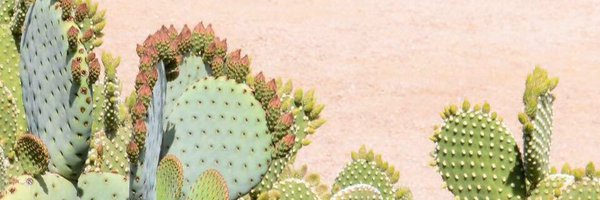 Haylie_Carlson Profile Banner