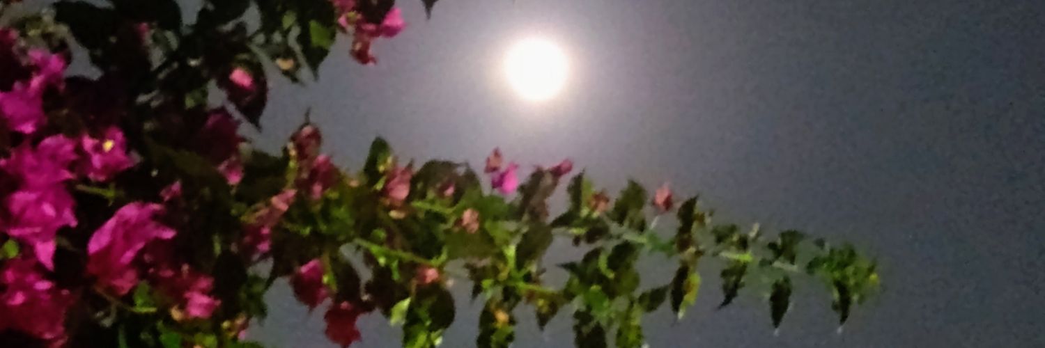 Barri_Lu's profile banner image