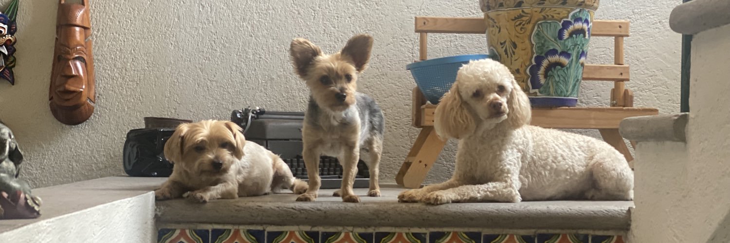 Carlos Roma🇲🇽 banner