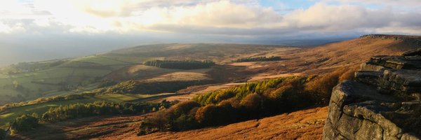 beyondt4walls Profile Banner