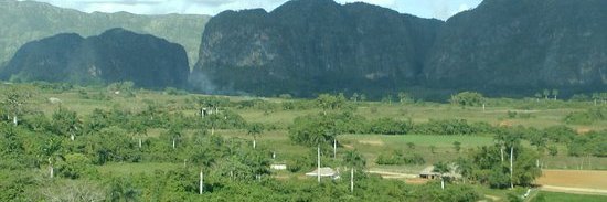 Rogelio Matos banner