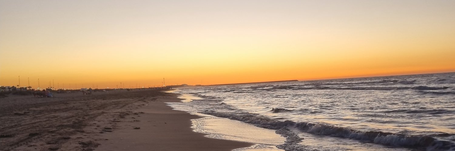 Hugo Daniel Gomes banner