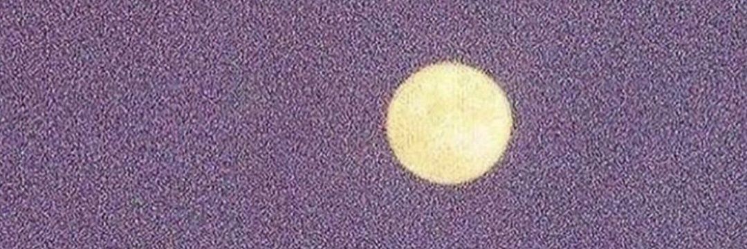 PujaNarale's profile banner image