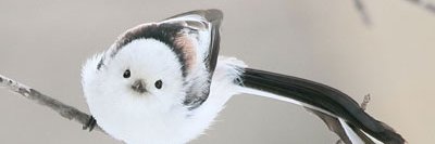 uni726's profile banner image