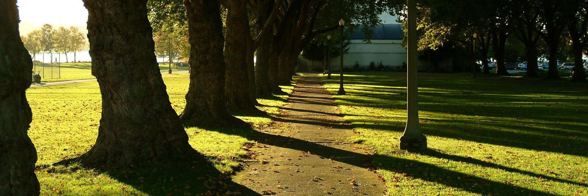 Forrest Corbett banner