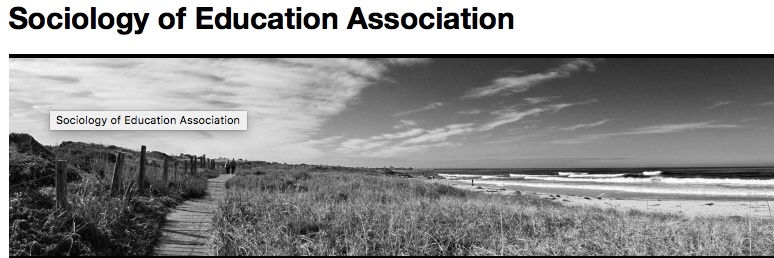 Sociology of Education Association banner