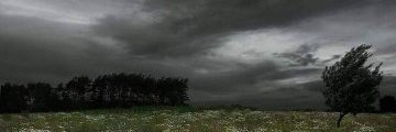 Darktwilight180 banner