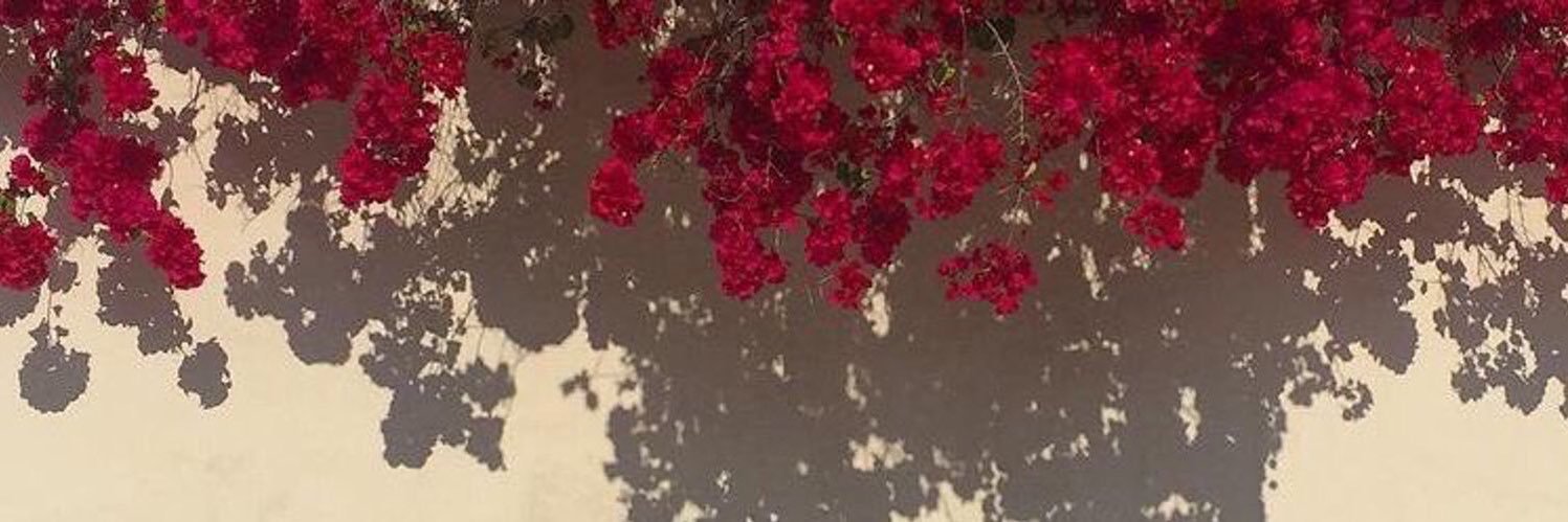 𝒜𝒰𝒢𝒰𝒮𝒯• banner