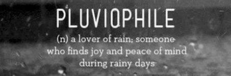 andipalupi's profile banner image