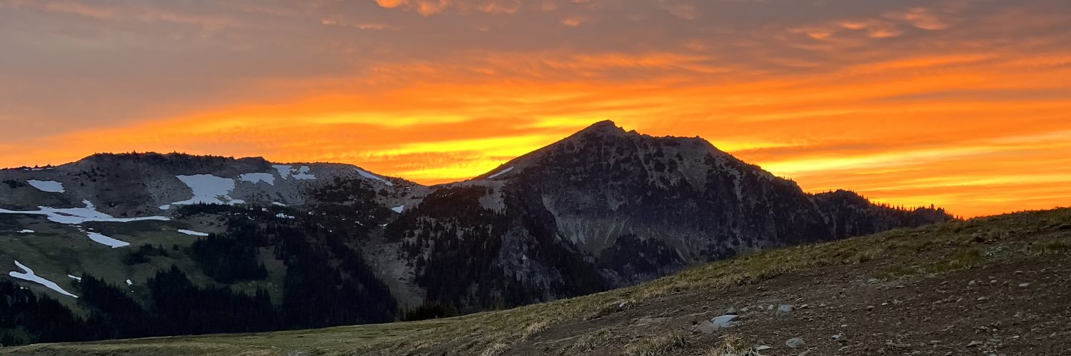 Tyler Scowcroft banner