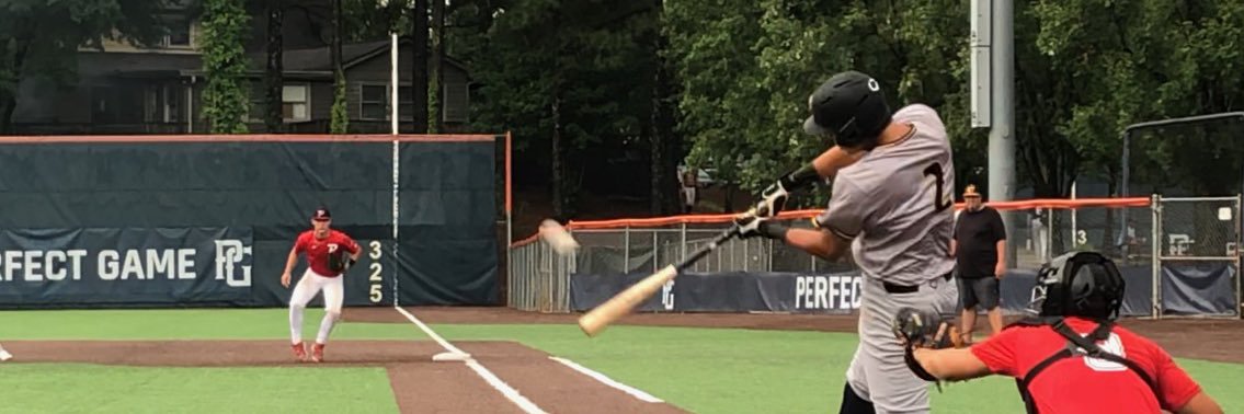 Taylor Trillo banner