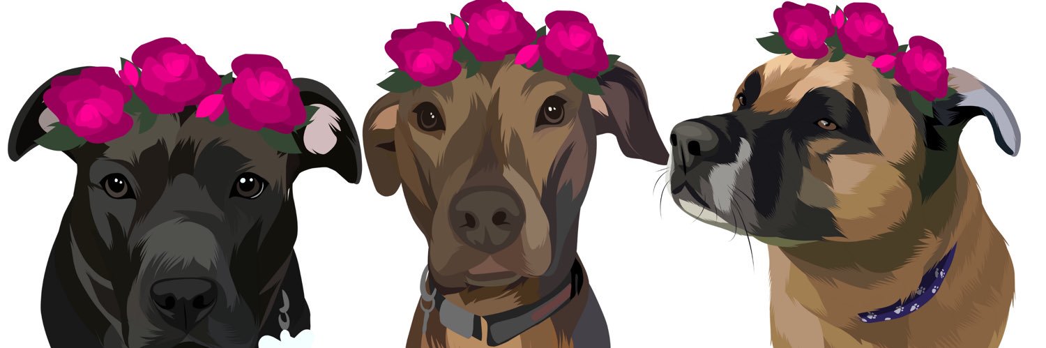 jamersjamerson's profile banner image