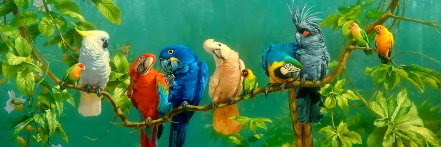 Flavio Meira Silva 🦜🇧🇷🔺️'s banner