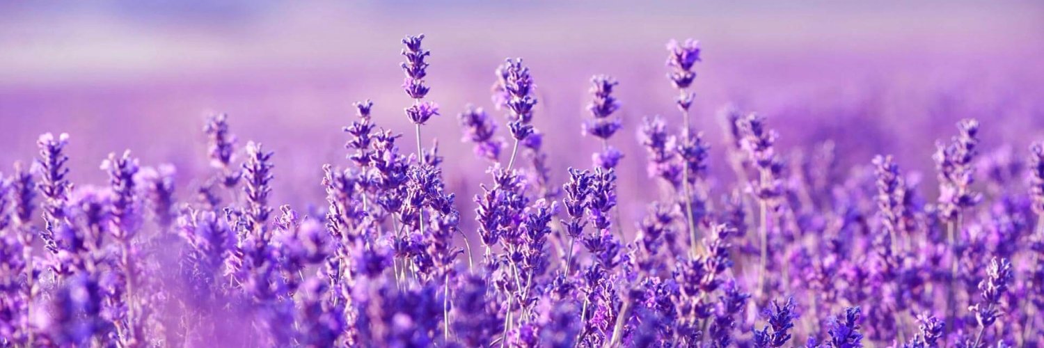 LoraArt13's profile banner image