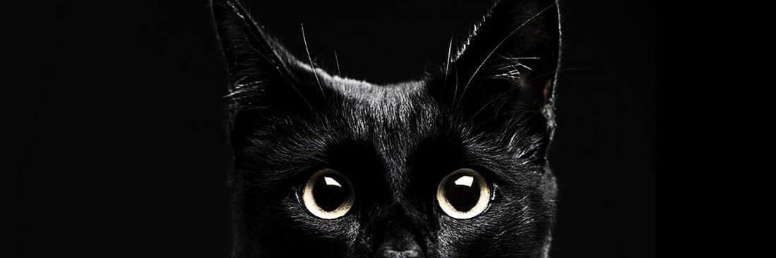 loacecil's profile banner image