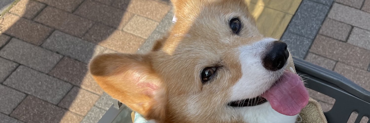 cogimaru☆YUZU banner