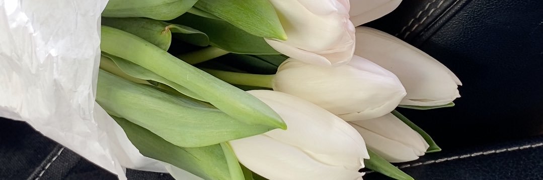 isaraaltamimi's profile banner image