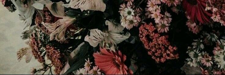 heysagi_'s profile banner image