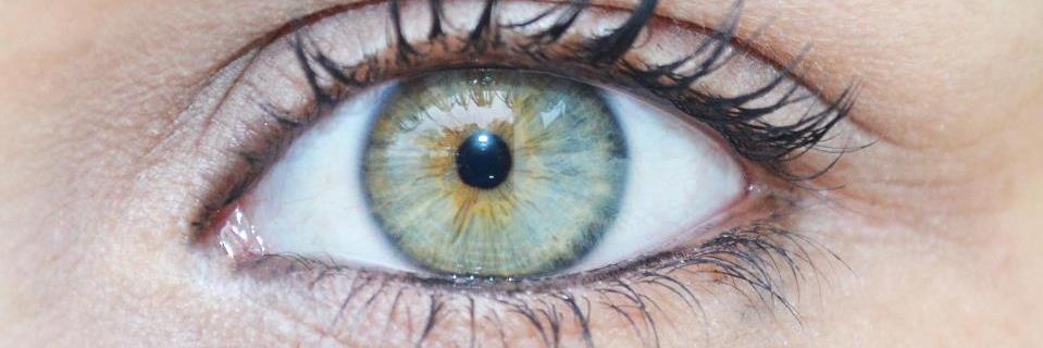 thais_mureb's profile banner image